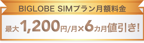 ライトS(6GB)、または12ギガプランをお申し込みの場合、BIGLBOE SIMプラン月額料金 1,200円×6カ月値引き!