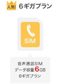 音声通話SIM データ容量6GB 6ギガプラン