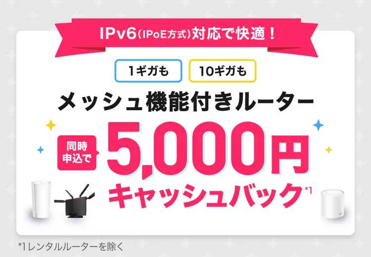 IPv6(IPoE方式)対応で快適！ 1ギガも 10ギガも！無線LANルーター 同時申込で5,000円キャッシュバック＊1 ＊1レンタルルーターを除く