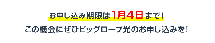 今回のお申し込み期限は8月31日まで!この機会にぜひビッグローブ光のお申し込みを!