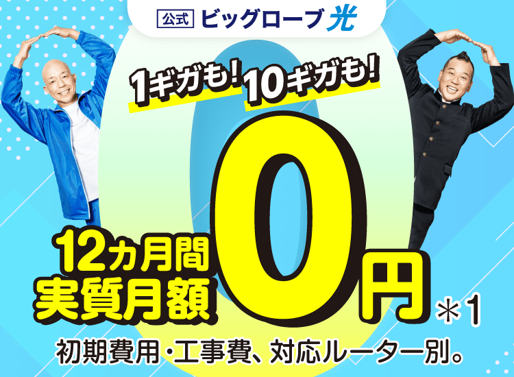 【公式】ビッグローブ光 1ギガも！10ギガも！ 12カ月間 実質月額0円