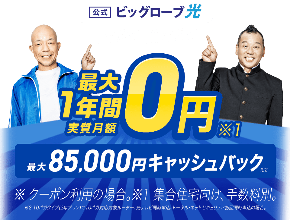 ビッグローブ光 1ギガも！10ギガも！ 最大1年間 実質月額0円