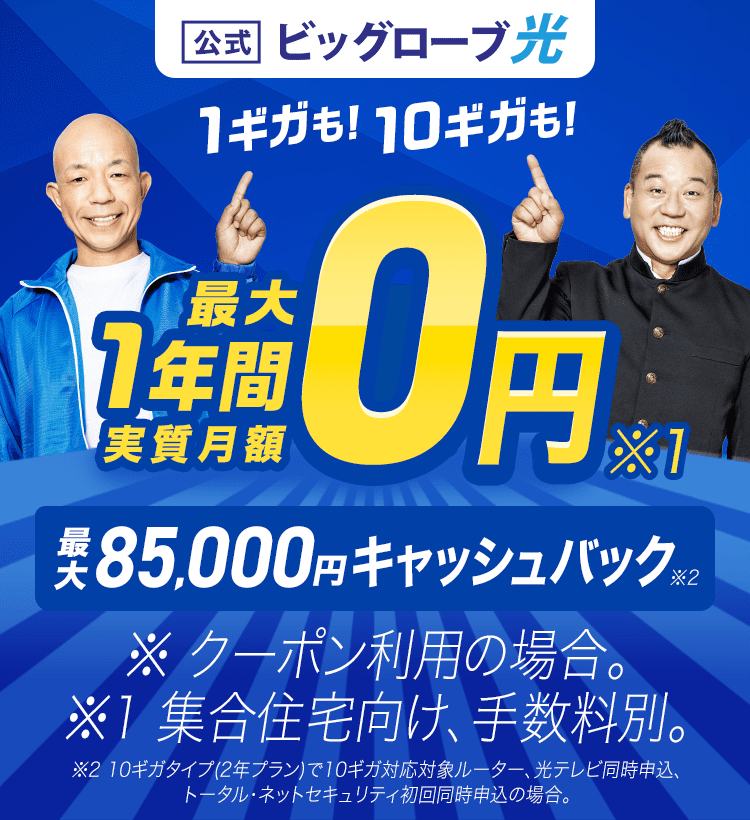 ビッグローブ光 1ギガも！10ギガも！ 最大1年間 実質月額0円