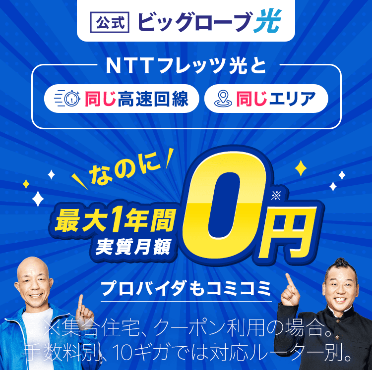 ビッグローブ光 NTTフレッツ光と同じ高速回線、同じエリア 月額料金がおトク プロバイダもコミコミ