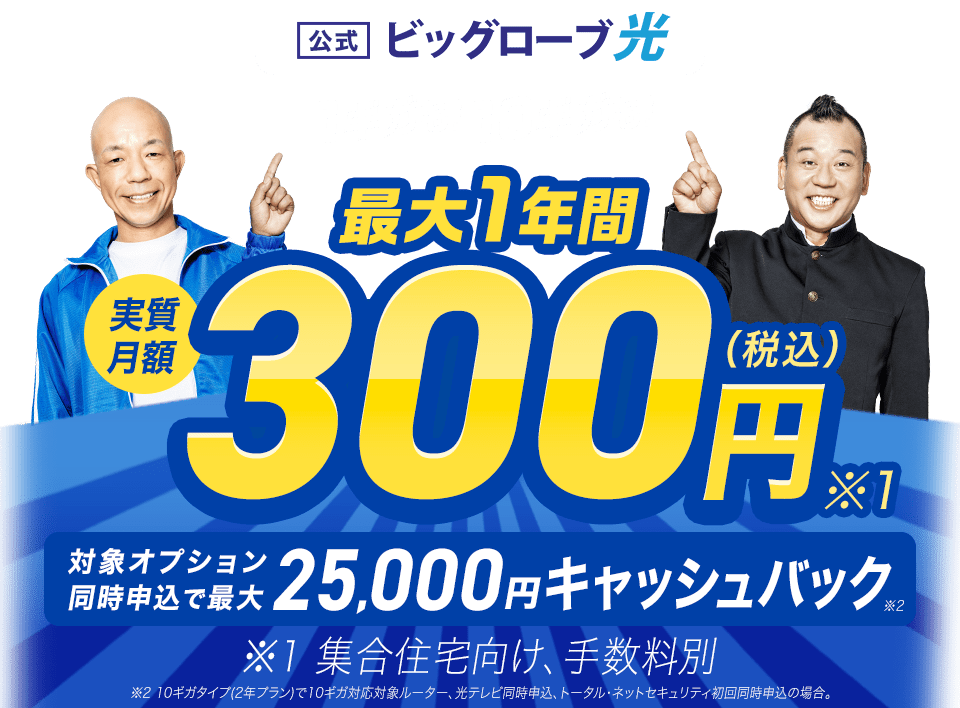 ビッグローブ光 1ギガも！10ギガも！ 最大1年間 実質月額300円（税込）