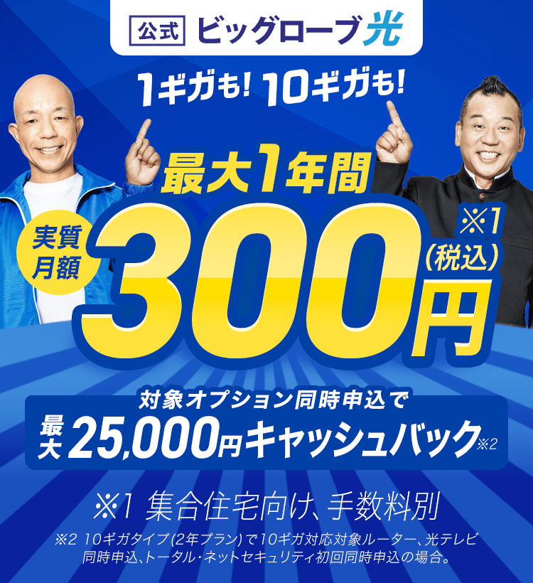 ビッグローブ光 1ギガも！10ギガも！ 最大1年間 実質月額300円（税込）