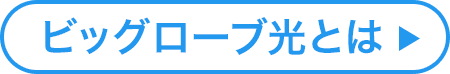 ビッグローブ光とは