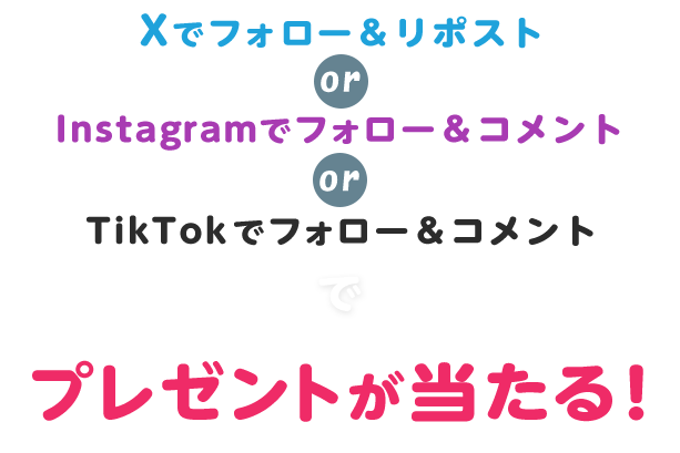 Xでフォロー＆ポスト or Instagramでフォロー＆コメント or TikTokでフォロー＆コメントでプレゼントが当たる！