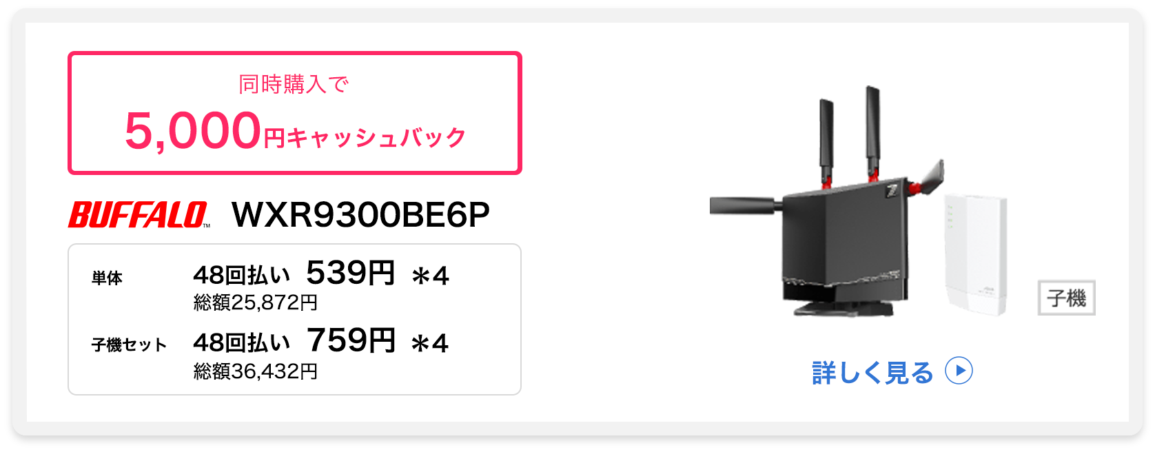 BUFFALO WXR9300BE6P
