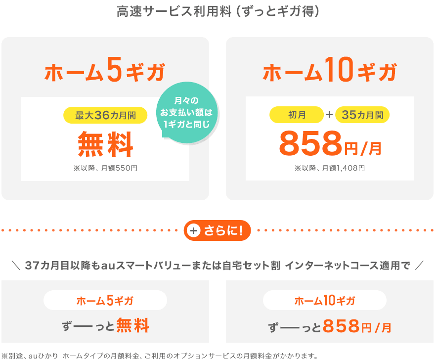 高速サービス利用料（ずっとギガ得）