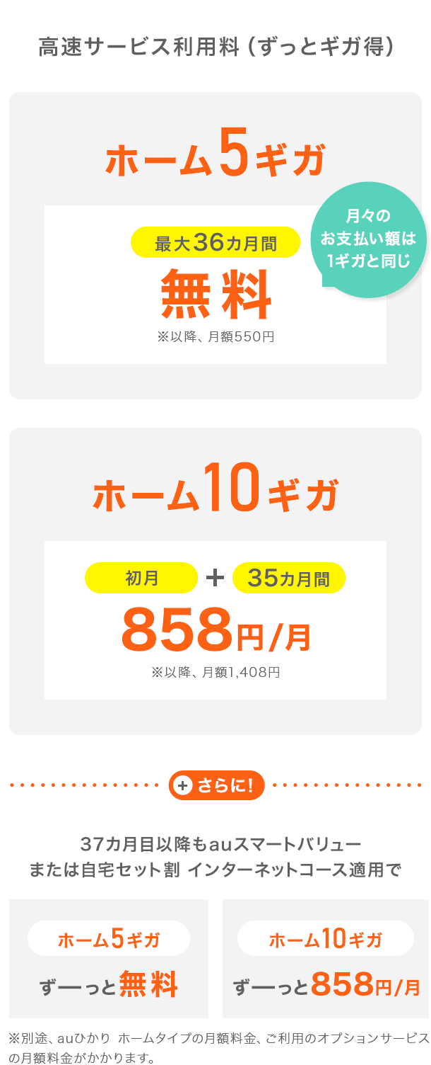 高速サービス利用料（ずっとギガ得）