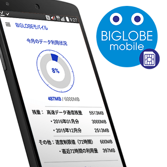 オプション | 格安SIM / 格安スマホ | BIGLOBE SIM