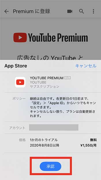 download youtube premium videos on pc
