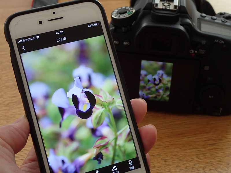 一眼レフカメラで撮った写真をSNSにアップする方法 - 【しむぐらし ...