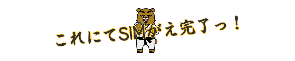 これにてSIM替え完了っ!