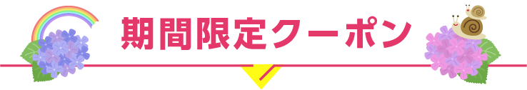 期間限定クーポン