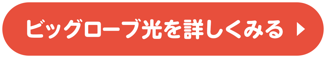ビッグローブ光を詳しくみる