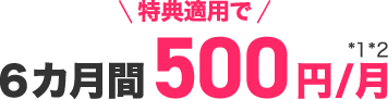 特典適用で6カ月間500円/月＊1＊2