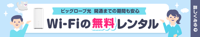 ビッグローブ光 開通までの期間も安心 Wi-Fiの無料レンタル 詳しくみる