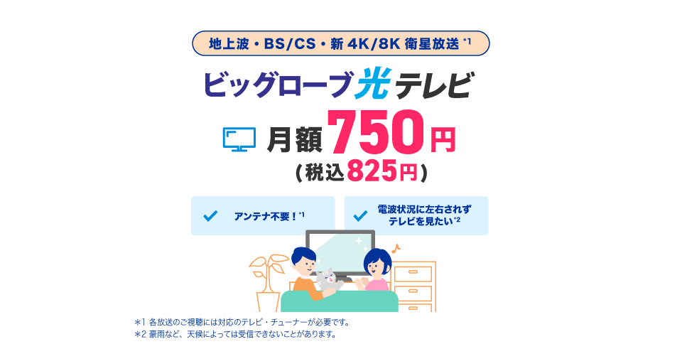 地デジ/BS/CS 新4K/8K放送対応 ビッグローブ光テレビ 月額750円(税込825円)