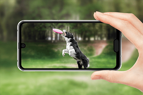 AQUOS R2 compact SH-M09のイメージ