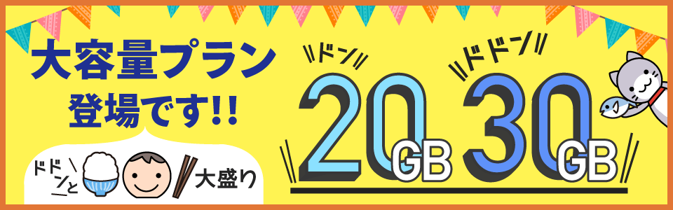 ドドンと大盛り 20、30ギガバイト 大容量プラン登場です!!